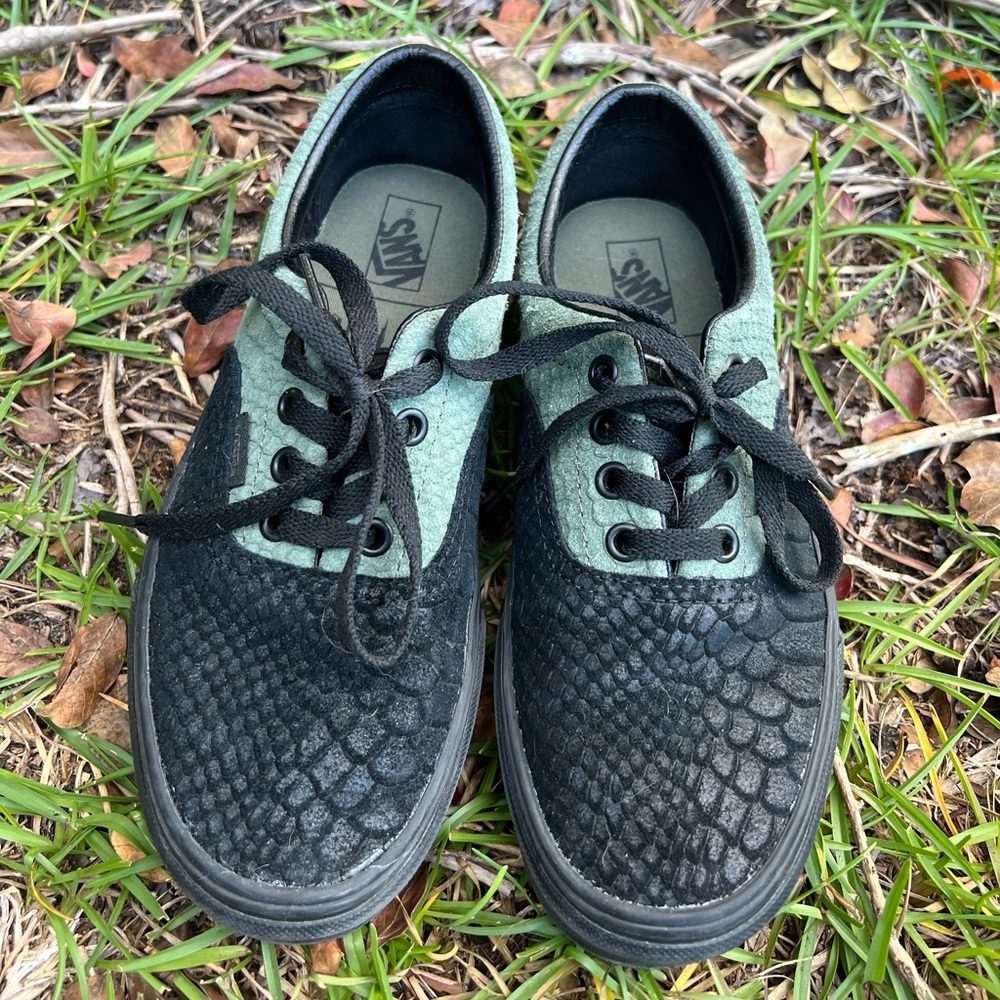 Vans Era Harry Potter Slytherin sneaker (W7, M5.5)